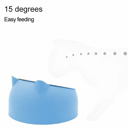 Stainless Steel Creative Inclined Feeding Bowl for Cats and Dogs