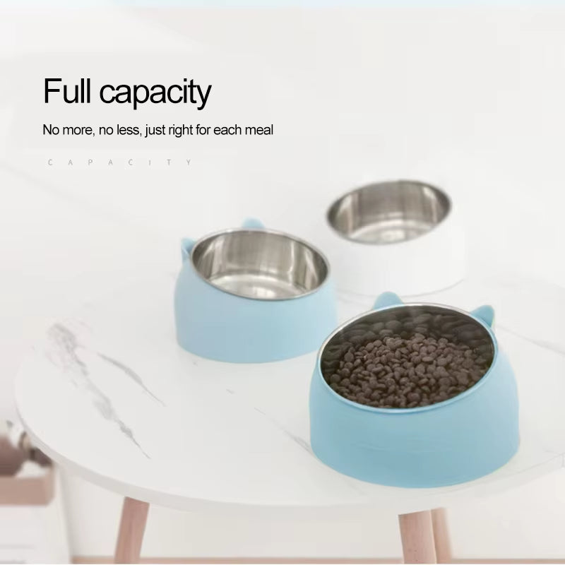 Stainless Steel Creative Inclined Feeding Bowl for Cats and Dogs