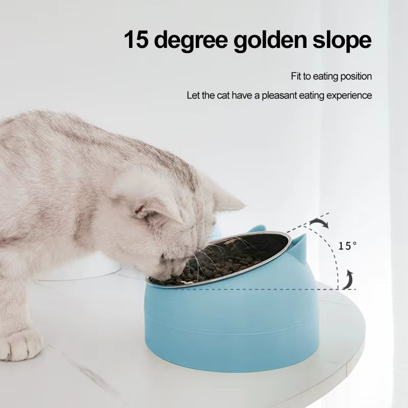 Stainless Steel Creative Inclined Feeding Bowl for Cats and Dogs